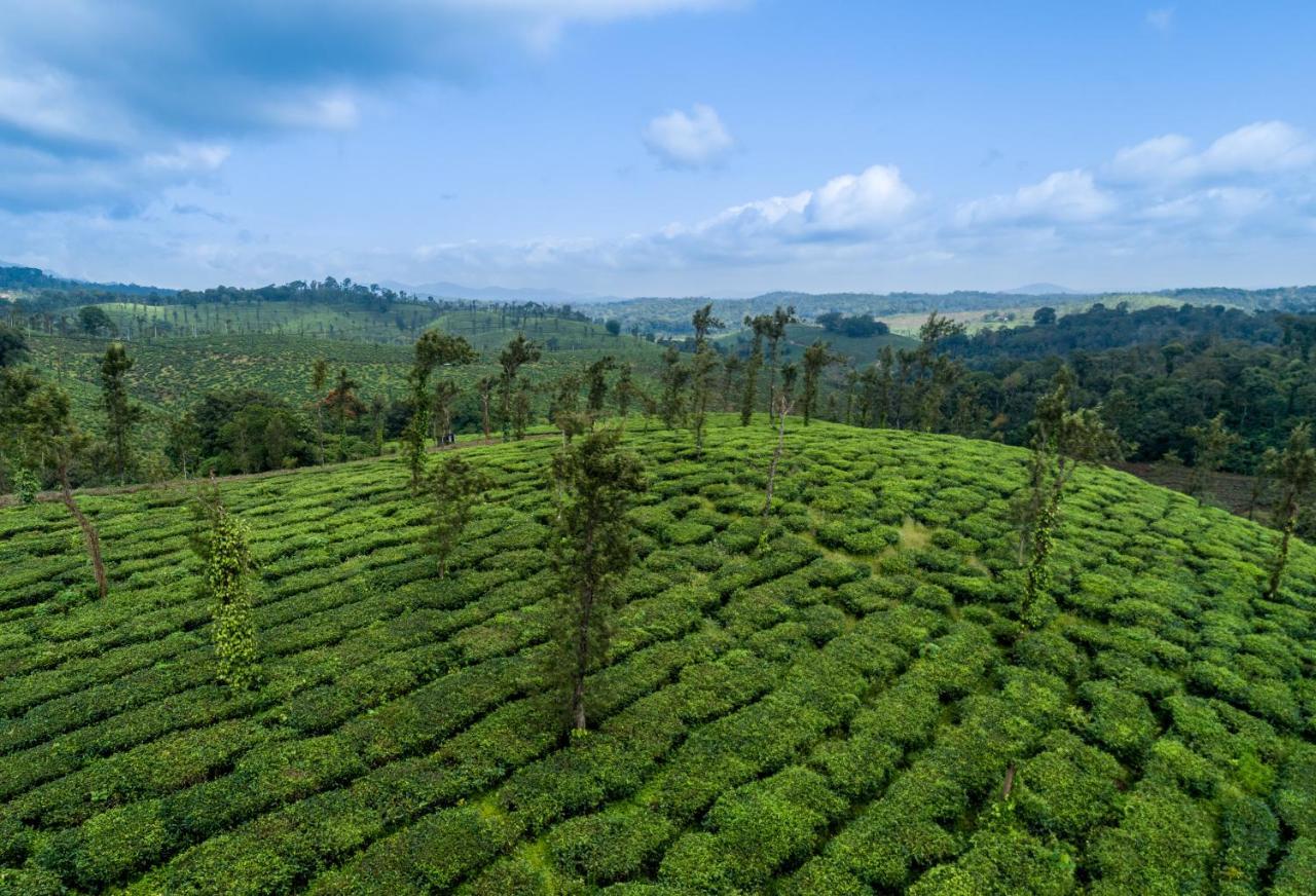 Amritara Ambatty Greens Resort Virajpet Exteriér fotografie